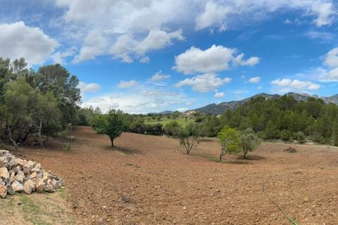 Helårsgrund i Campanet, Mallorca, Campanet - € 1.050.000 | Ref: CAM0544 - foto 5