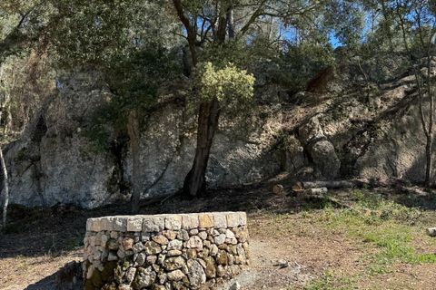 Helårsgrund i Campanet, Mallorca, Campanet - € 1.050.000 | Ref: CAM0544 - foto 7