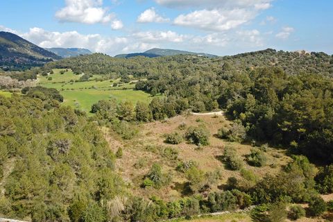 Helårsgrund i Campanet, Mallorca, Campanet - € 1.050.000 | Ref: CAM0544 - foto 8