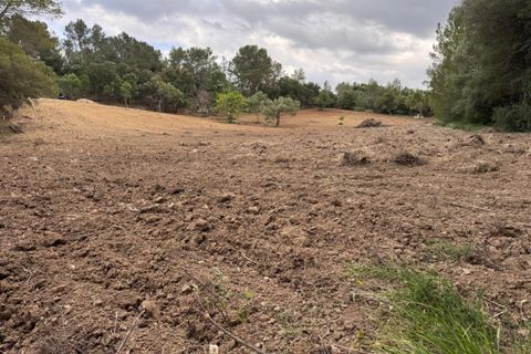 Helårsgrund i Campanet, Mallorca, Campanet - € 1.050.000 | Ref: CAM0544 - foto 15