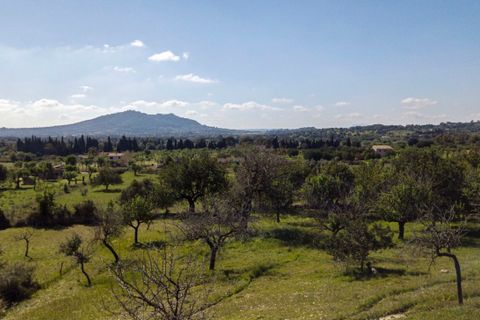Terra a Selva, Mallorca, Selva - € 895.000 | Ref: MOS0588 - foto 14