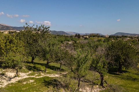 Terra a Selva, Mallorca, Selva - € 895.000 | Ref: MOS0588 - foto 16