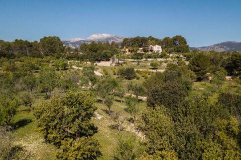 Terra a Selva, Mallorca, Selva - € 895.000 | Ref: MOS0588 - foto 17