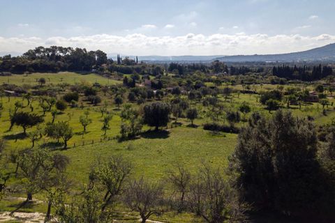 Terra a Selva, Mallorca, Selva - € 895.000 | Ref: MOS0588 - foto 20