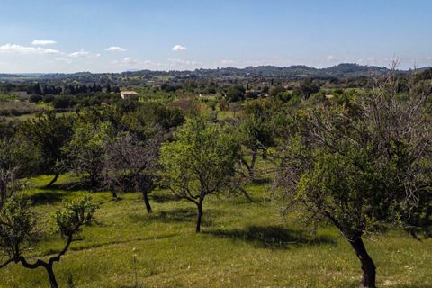 Terra a Selva, Mallorca, Selva - € 895.000 | Ref: MOS0588 - foto 22