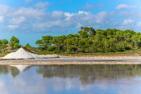 Landsbyhus i Ses Salines, Mallorca, Ses Salines - € 1.295.000 | Ref: SWOSES2750 - foto 12