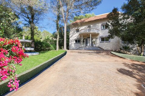 Villa i Pollenca, Mallorca, Pollenca - € 2.500.000 | Ref: POL40921ETV - foto 35