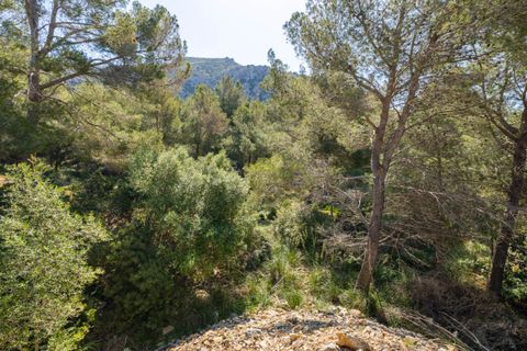 Terra a Alcudia, Mallorca, Alcudia - € 295.000 | Ref: BON0656 - foto 5