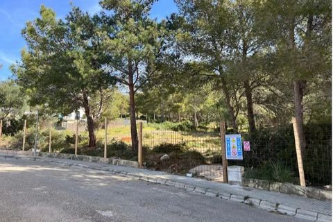 Terra a Alcudia, Mallorca, Alcudia - € 295.000 | Ref: BON0656 - foto 7
