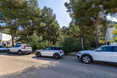 Terra a Alcudia, Mallorca, Alcudia - € 295.000 | Ref: BON0656 - foto 9