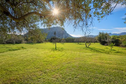 Herregård i Pollenca, Mallorca, Pollenca - € 1 500 000 | Ref: POL53086ETV - foto 15