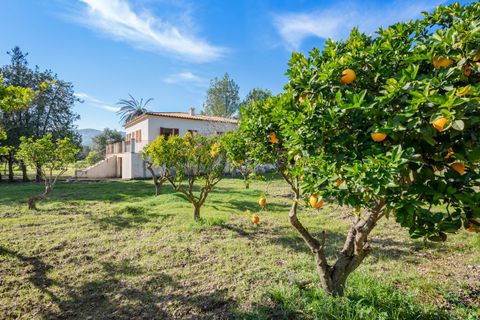 Herregård i Pollenca, Mallorca, Pollenca - € 1 500 000 | Ref: POL53086ETV - foto 18