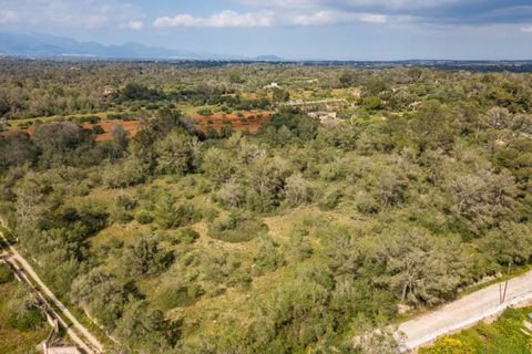 Helårsgrund i Algaida, Mallorca, Algaida - € 215.000 | Ref: ALG0661 - foto 1
