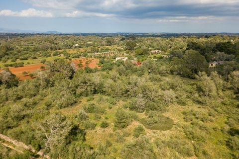 Helårsgrund i Algaida, Mallorca, Algaida - € 215.000 | Ref: ALG0661 - foto 2