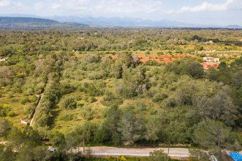 Helårsgrund i Algaida, Mallorca, Algaida - € 215.000 | Ref: ALG0661 - foto 3