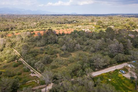 Helårsgrund i Algaida, Mallorca, Algaida - € 215.000 | Ref: ALG0661 - foto 4