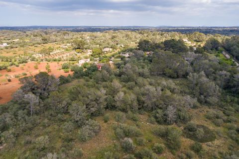 Helårsgrund i Algaida, Mallorca, Algaida - € 215.000 | Ref: ALG0661 - foto 5