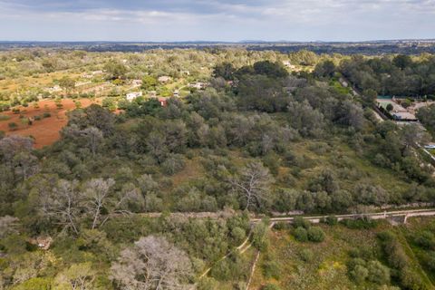 Helårsgrund i Algaida, Mallorca, Algaida - € 215.000 | Ref: ALG0661 - foto 6
