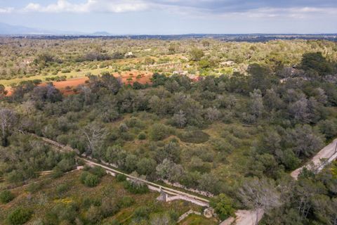 Helårsgrund i Algaida, Mallorca, Algaida - € 215.000 | Ref: ALG0661 - foto 7