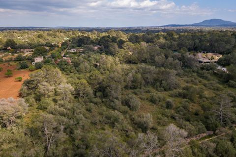 Helårsgrund i Algaida, Mallorca, Algaida - € 215.000 | Ref: ALG0661 - foto 8