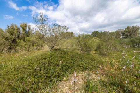 Helårsgrund i Algaida, Mallorca, Algaida - € 215.000 | Ref: ALG0661 - foto 9