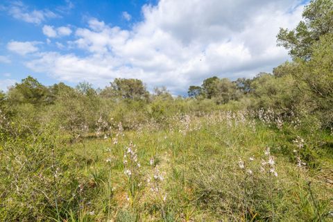 Helårsgrund i Algaida, Mallorca, Algaida - € 215.000 | Ref: ALG0661 - foto 10