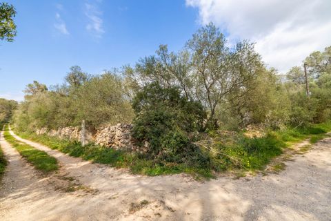 Helårsgrund i Algaida, Mallorca, Algaida - € 215.000 | Ref: ALG0661 - foto 12