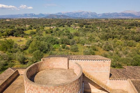 Terra a Llubi, Mallorca, Llubi - € 745.000 | Ref: LLI0664 - foto 2