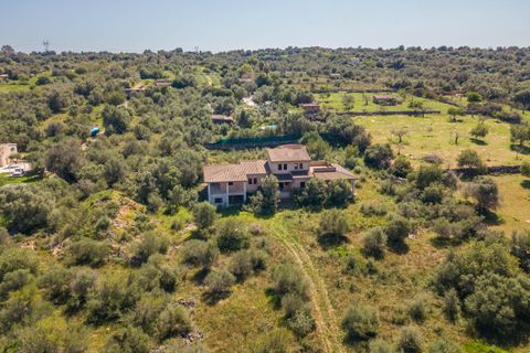 Terra a Llubi, Mallorca, Llubi - € 745.000 | Ref: LLI0664 - foto 5