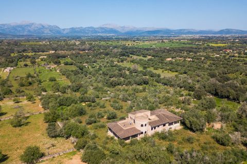 Terra a Llubi, Mallorca, Llubi - € 745.000 | Ref: LLI0664 - foto 7