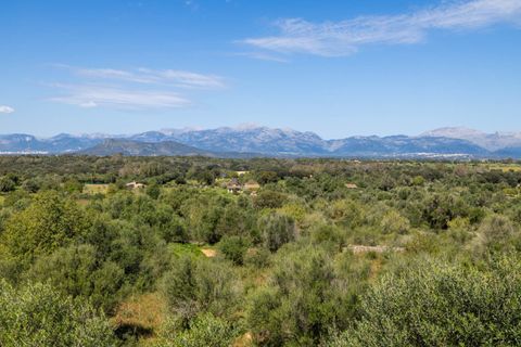 Terra a Llubi, Mallorca, Llubi - € 745.000 | Ref: LLI0664 - foto 10