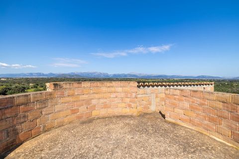 Terra a Llubi, Mallorca, Llubi - € 745.000 | Ref: LLI0664 - foto 12