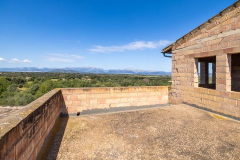 Terra a Llubi, Mallorca, Llubi - € 745.000 | Ref: LLI0664 - foto 13
