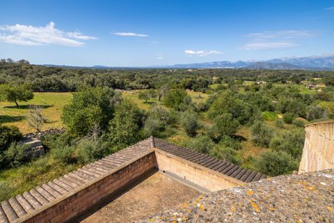 Terra a Llubi, Mallorca, Llubi - € 745.000 | Ref: LLI0664 - foto 14