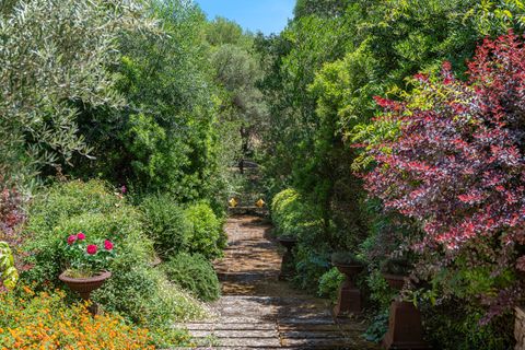 Cortijo i Pollenca, Mallorca, Pollenca - € 6.995.000 | Ref: POL53105ETV - foto 27
