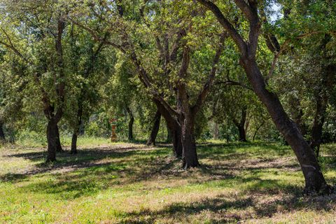 Cortijo i Pollenca, Mallorca, Pollenca - € 6.995.000 | Ref: POL53105ETV - foto 28