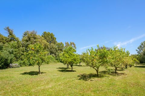 Cortijo i Pollenca, Mallorca, Pollenca - € 6.995.000 | Ref: POL53105ETV - foto 29