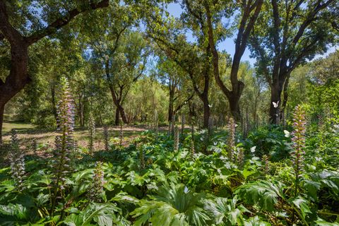 Cortijo i Pollenca, Mallorca, Pollenca - € 6.995.000 | Ref: POL53105ETV - foto 30