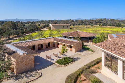 Landejendom i Llucmajor, Mallorca, Llucmajor - € 25.000.000 | Ref: LLU6LLU5 - foto 13