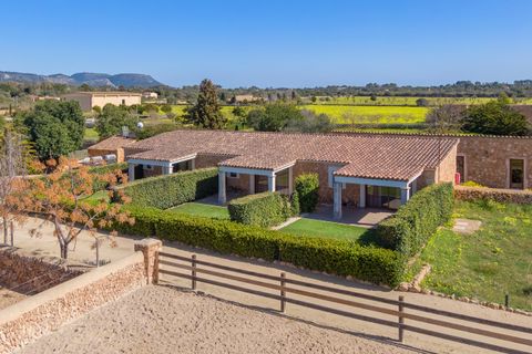 Landejendom i Llucmajor, Mallorca, Llucmajor - € 25.000.000 | Ref: LLU6LLU5 - foto 14