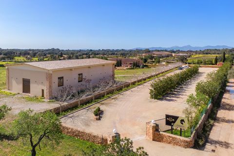 Landejendom i Llucmajor, Mallorca, Llucmajor - € 25.000.000 | Ref: LLU6LLU5 - foto 15