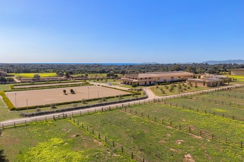 Landejendom i Llucmajor, Mallorca, Llucmajor - € 25.000.000 | Ref: LLU6LLU5 - foto 21