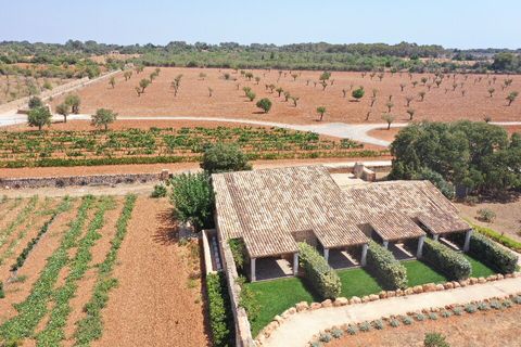Landejendom i Llucmajor, Mallorca, Llucmajor - € 25.000.000 | Ref: LLU6LLU5 - foto 34
