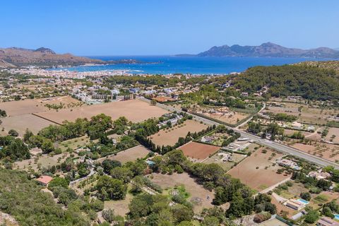 Terra a Pollenca, Mallorca, Pollenca - € 1.490.000 | Ref: PTP0644POL0 - foto 17