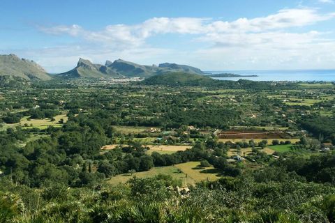 Terra a Pollenca, Mallorca, Pollenca - € 1.490.000 | Ref: PTP0644POL0 - foto 18