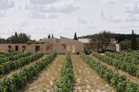 Terra a Pollenca, Mallorca, Pollenca - € 1.490.000 | Ref: PTP0644POL0 - foto 11