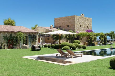 Terra a Pollenca, Mallorca, Pollenca - € 1.350.000 | Ref: POL5625POL0 - foto 2
