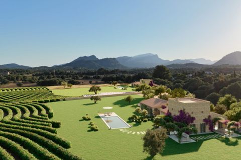Terra a Pollenca, Mallorca, Pollenca - € 1.350.000 | Ref: POL5625POL0 - foto 3