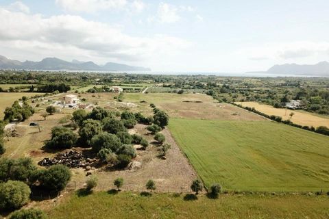 Terra a Pollenca, Mallorca, Pollenca - € 1.350.000 | Ref: POL5625POL0 - foto 16
