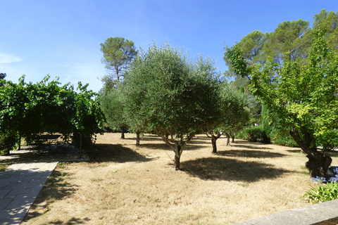 Villa a Tourrettes, Var, Tourrettes - € 1.370.000 | Ref: HH-15871461 - foto 5